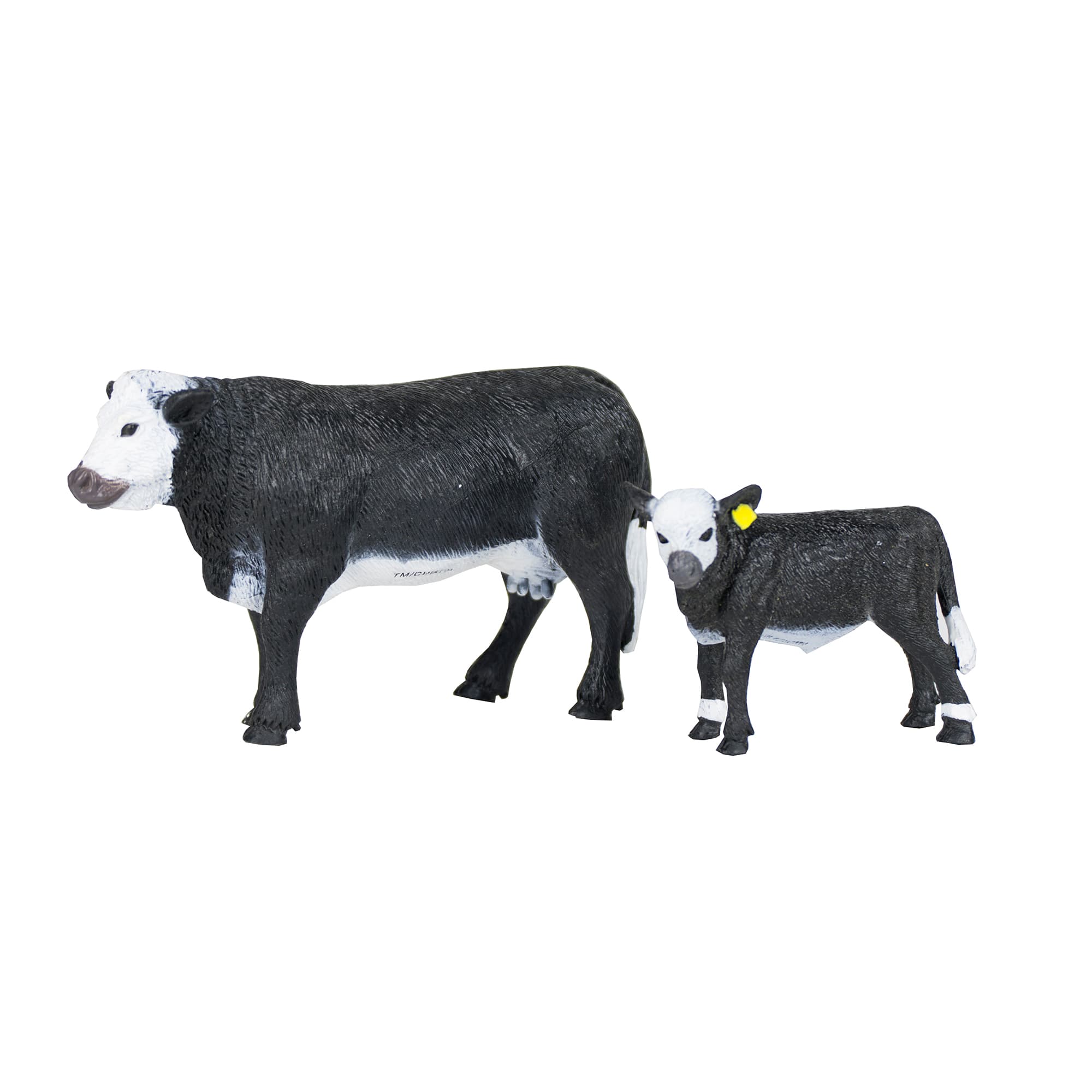 Black Baldy Cow & Calf
