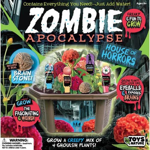 Zombie Apocalypse