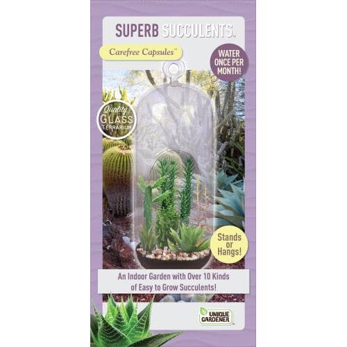 Superb Succulents
