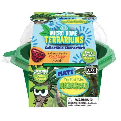 Matt the Madagascar Mini Palm