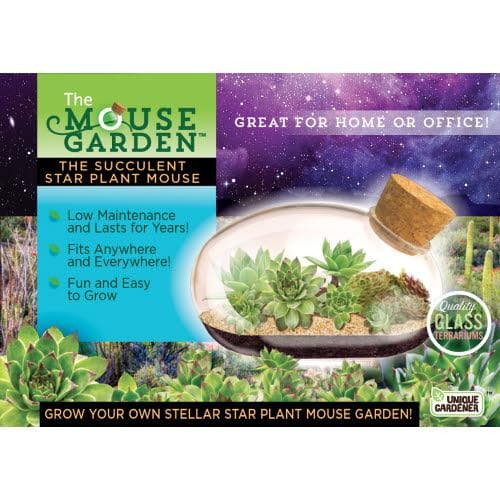 The Succulent Star Mouse