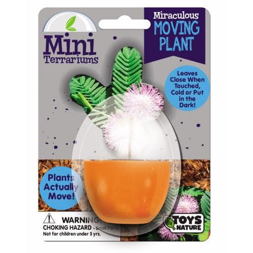 Miraculous Moving Plant