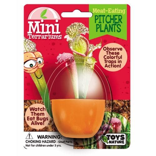 Meat-Eating Pitcher Plants