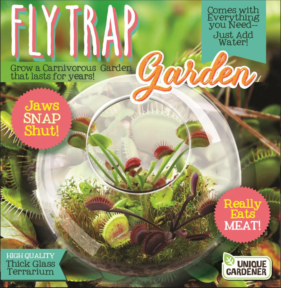 Flytraps
