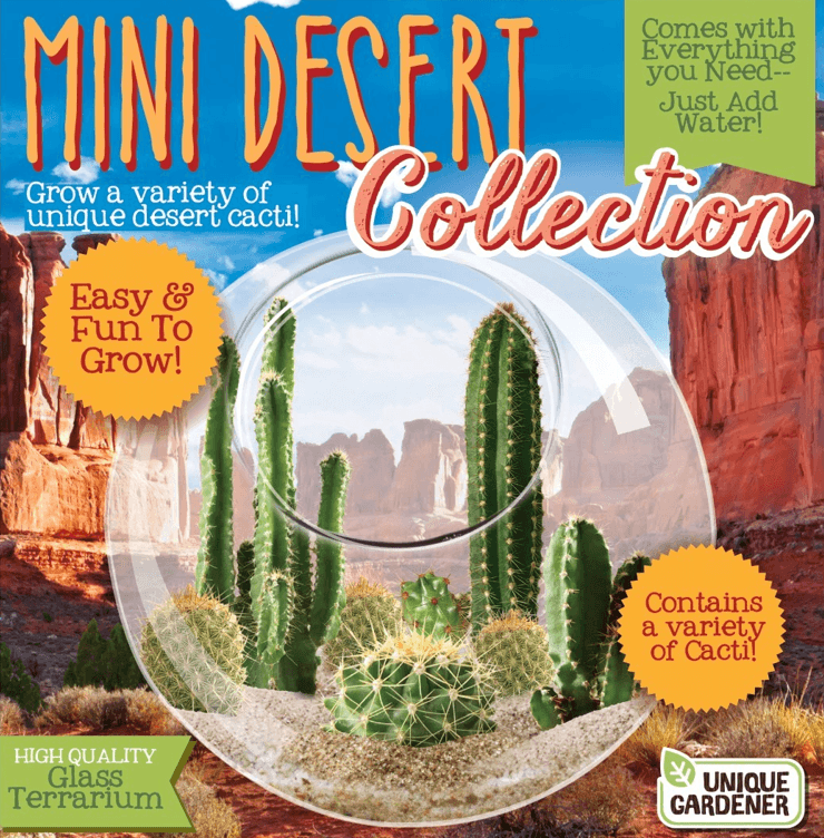 Mini Desert Collection