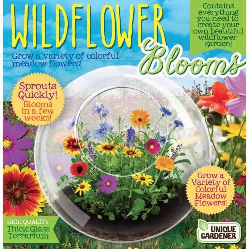 Wildflowers and Glass