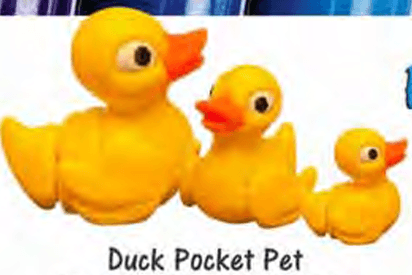 Pocket Pet MD Duck