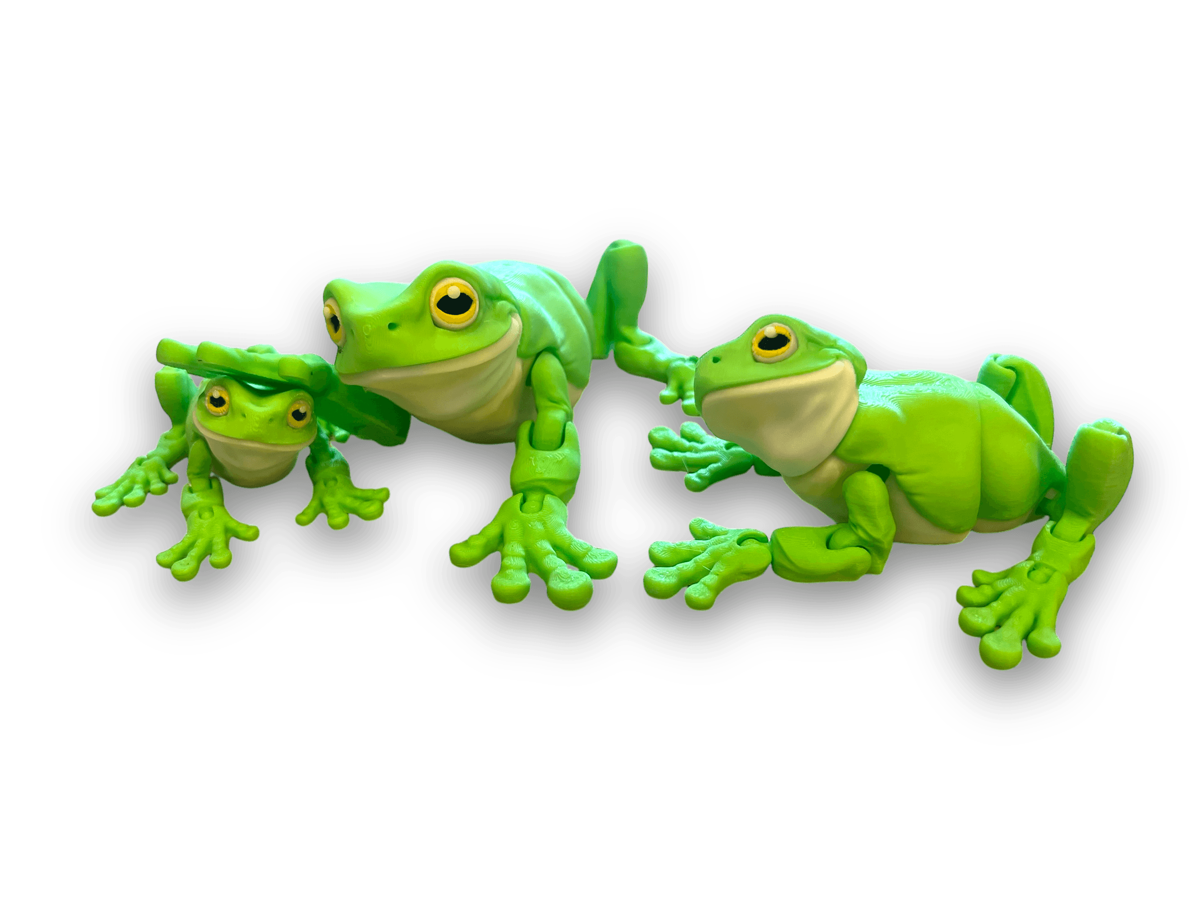 Zoo Collection Tree Frog Small