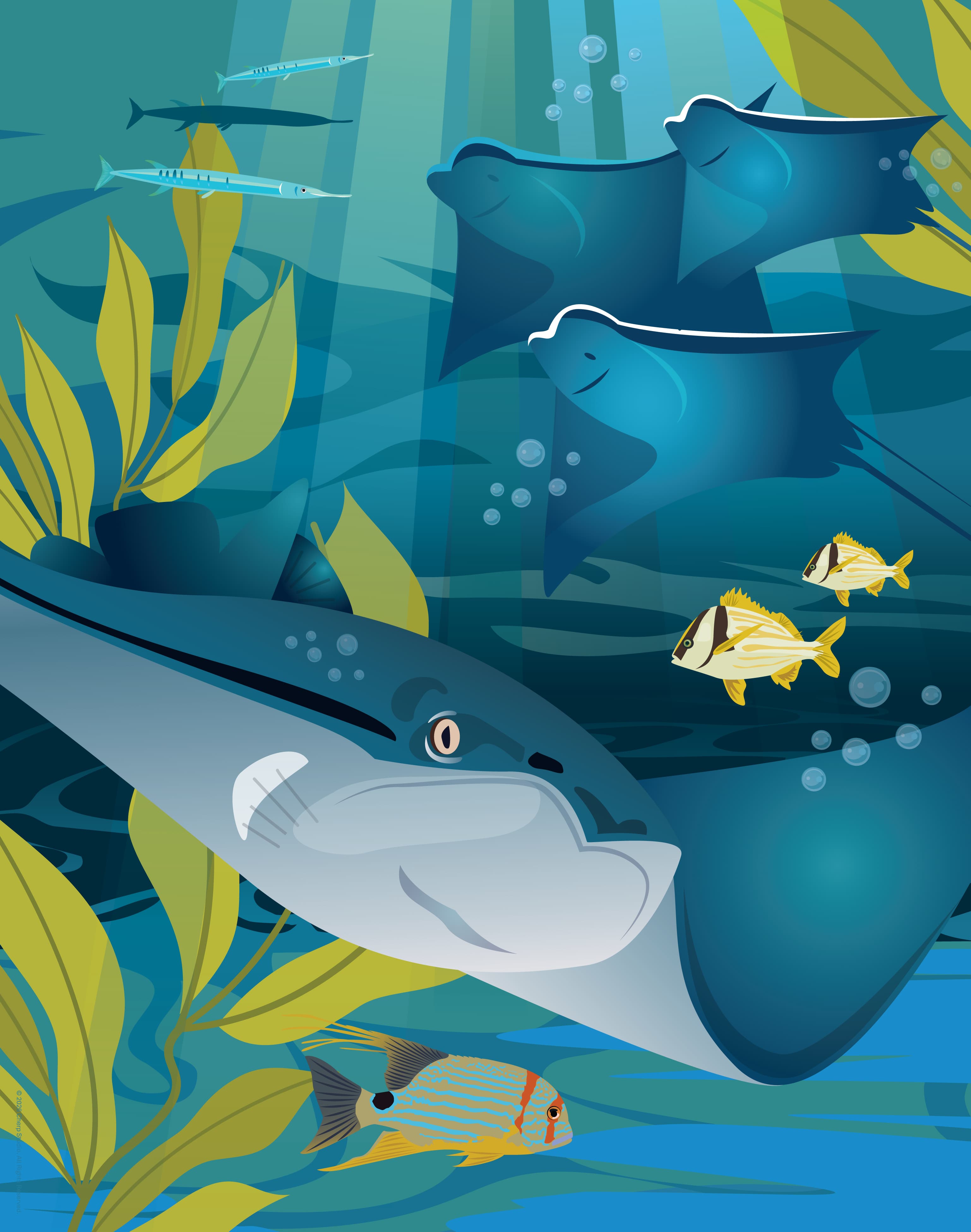 WildinColor – 100 PC puzzle – Aquarium - Manta Ray