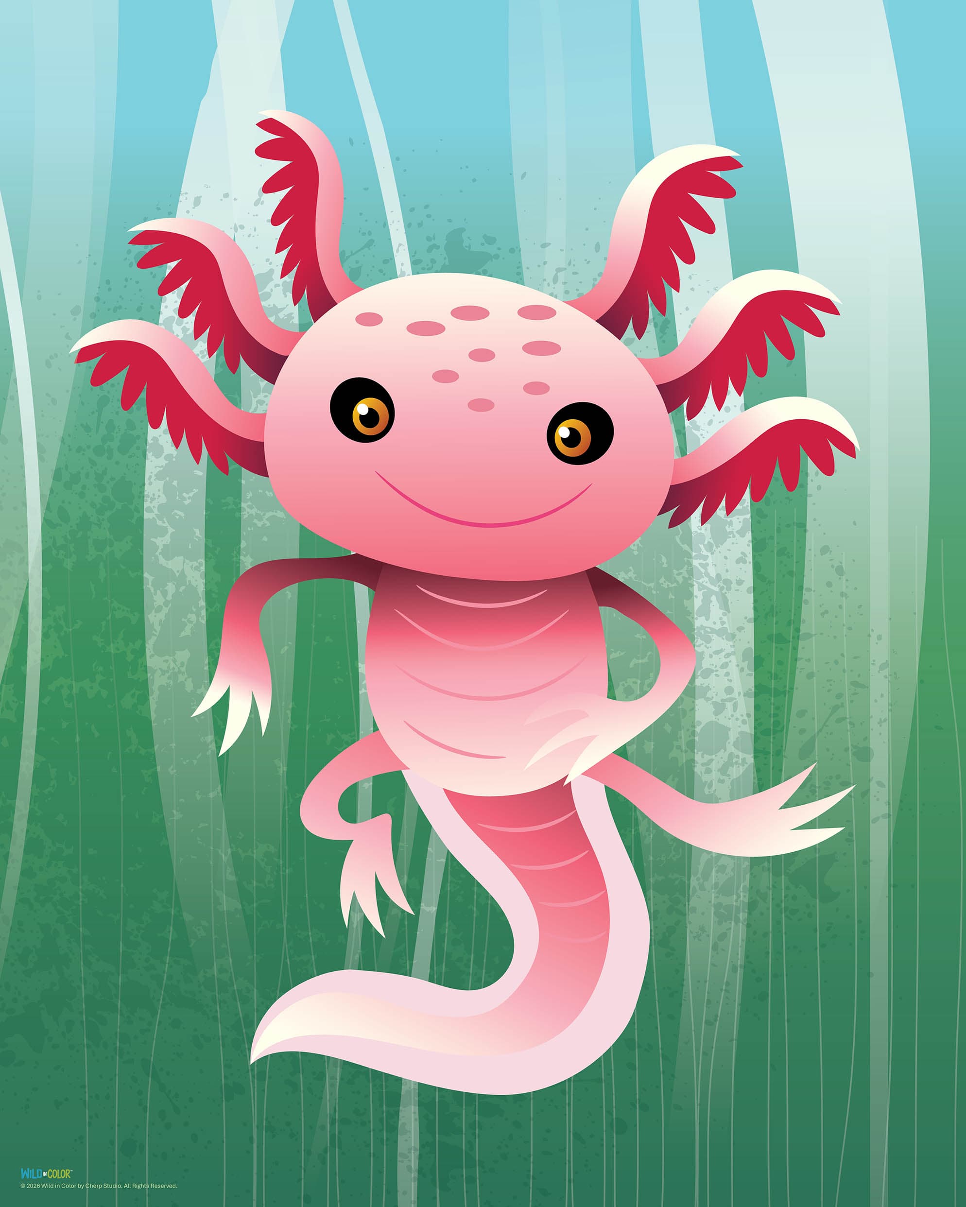 WildinColor – 300 piece puzzle – Axolotl