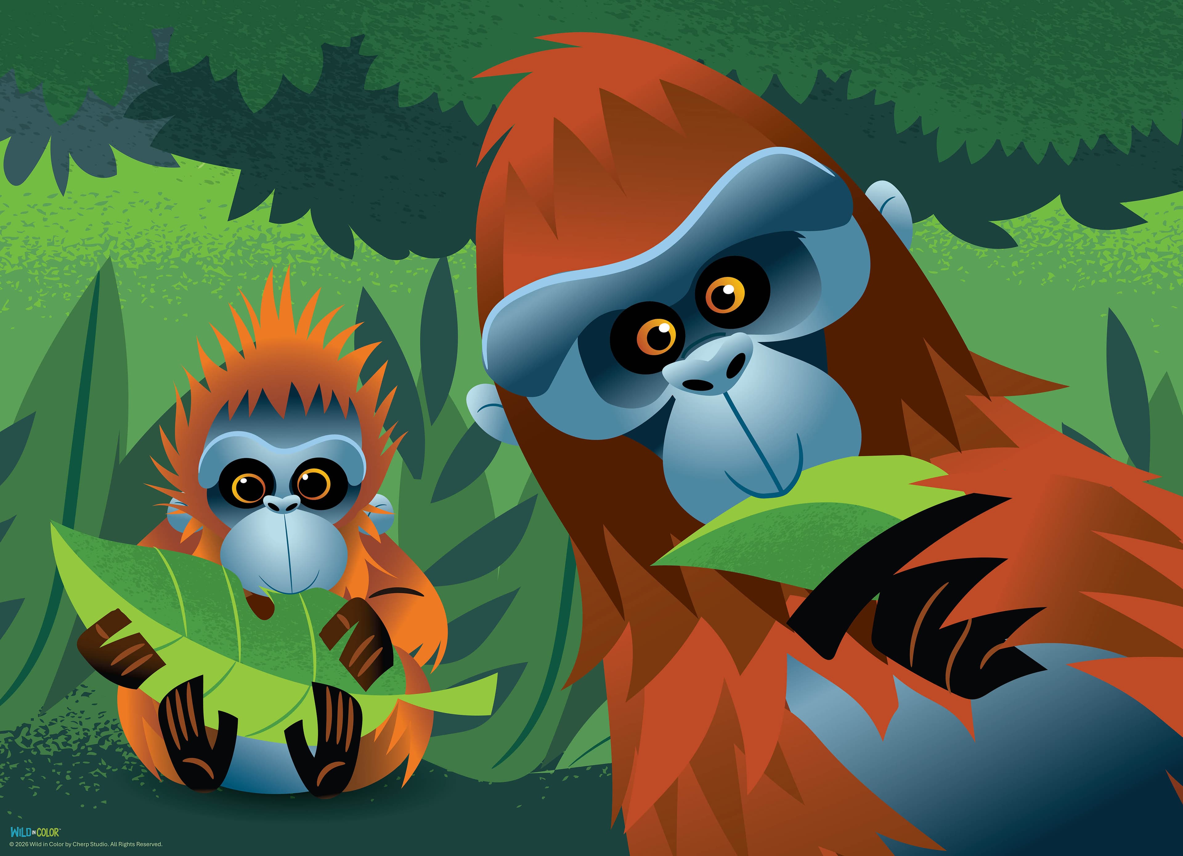 WildinColor – 300 piece puzzle – Orangutans