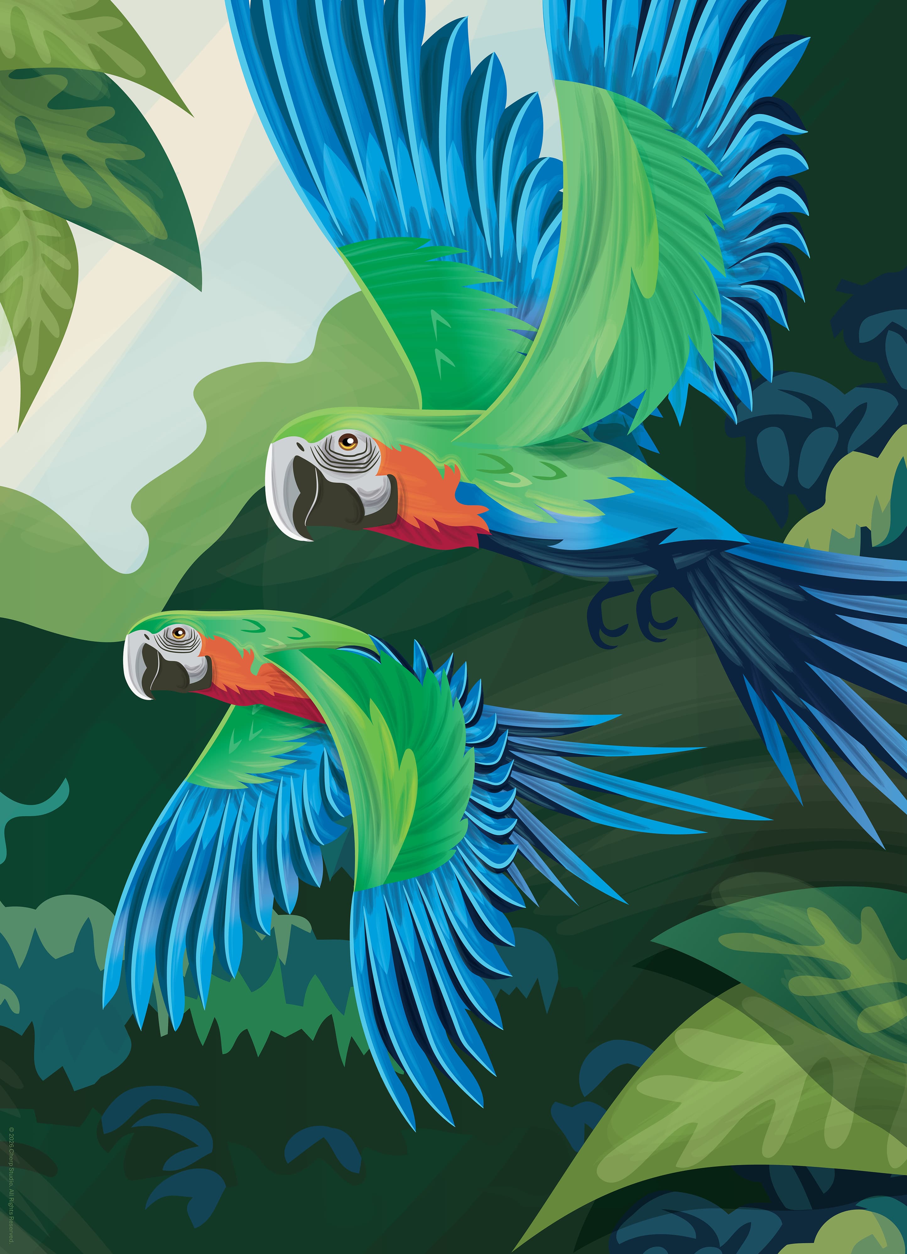 WildinColor -  500 PC puzzle – Parrots